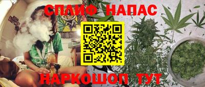 ALPHA PVP Малгобек