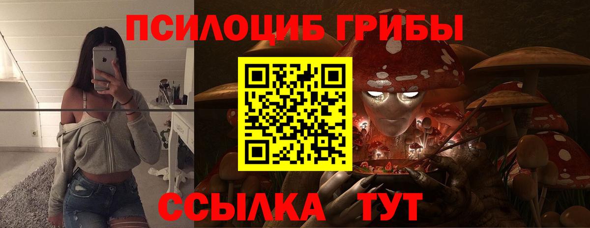 Псилоцибиновые грибы прущие грибы  Псилоцибиновые грибы мицелий  Вход с VPN  Шелехов 